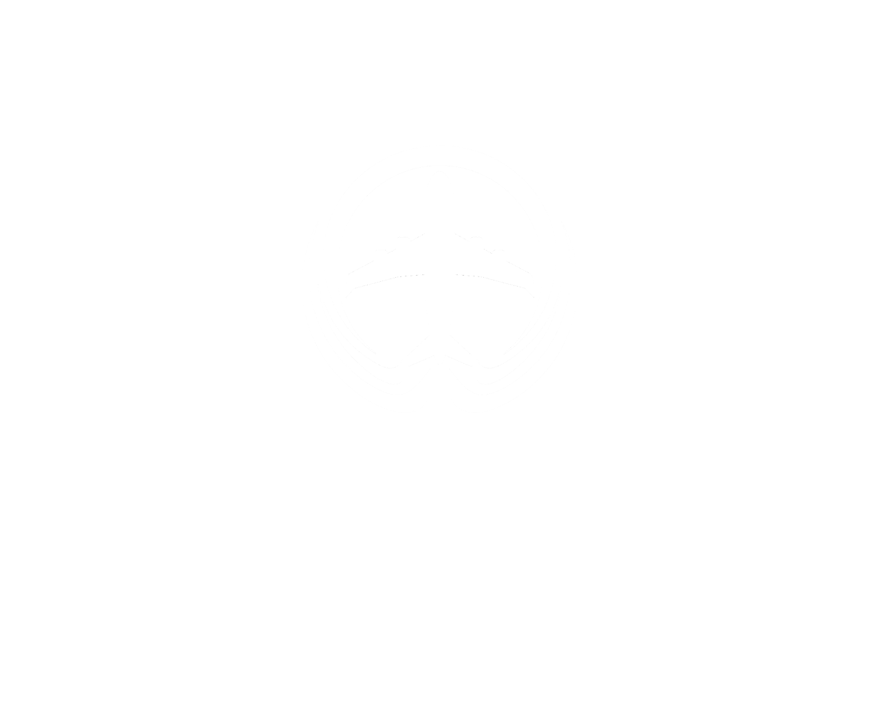 Flight Recall